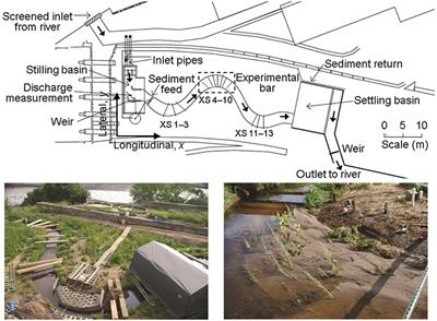 Riparian Vegetation and Sediment Supply Regulate the Morphodynamic Response of an Experimental Stream to Floods